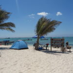 Beach tents and palm trees along the shore of La Tortuga Island, with people swimming and boats anchored in turquoise waters.