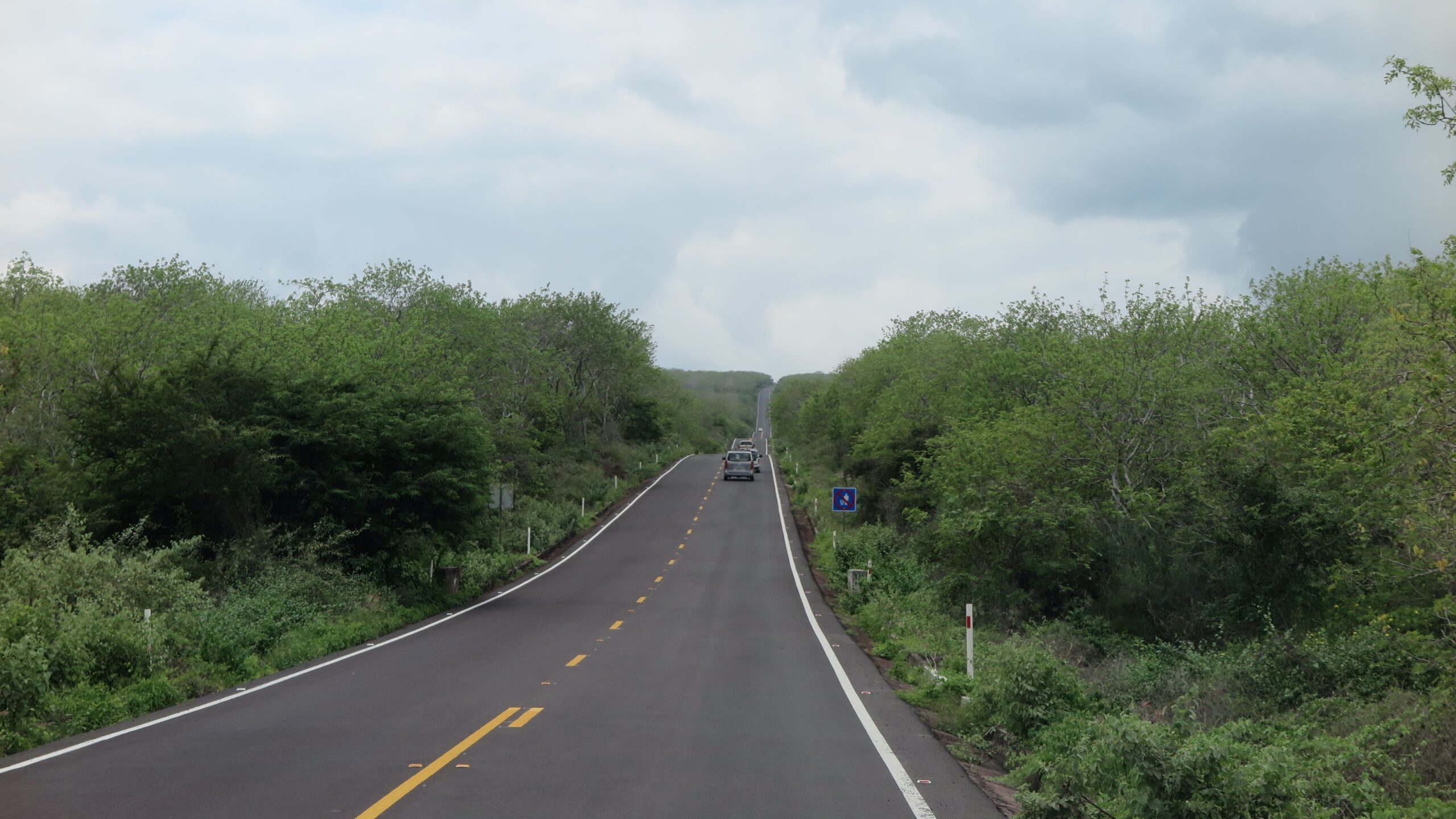 Roads to Puerto Ayora