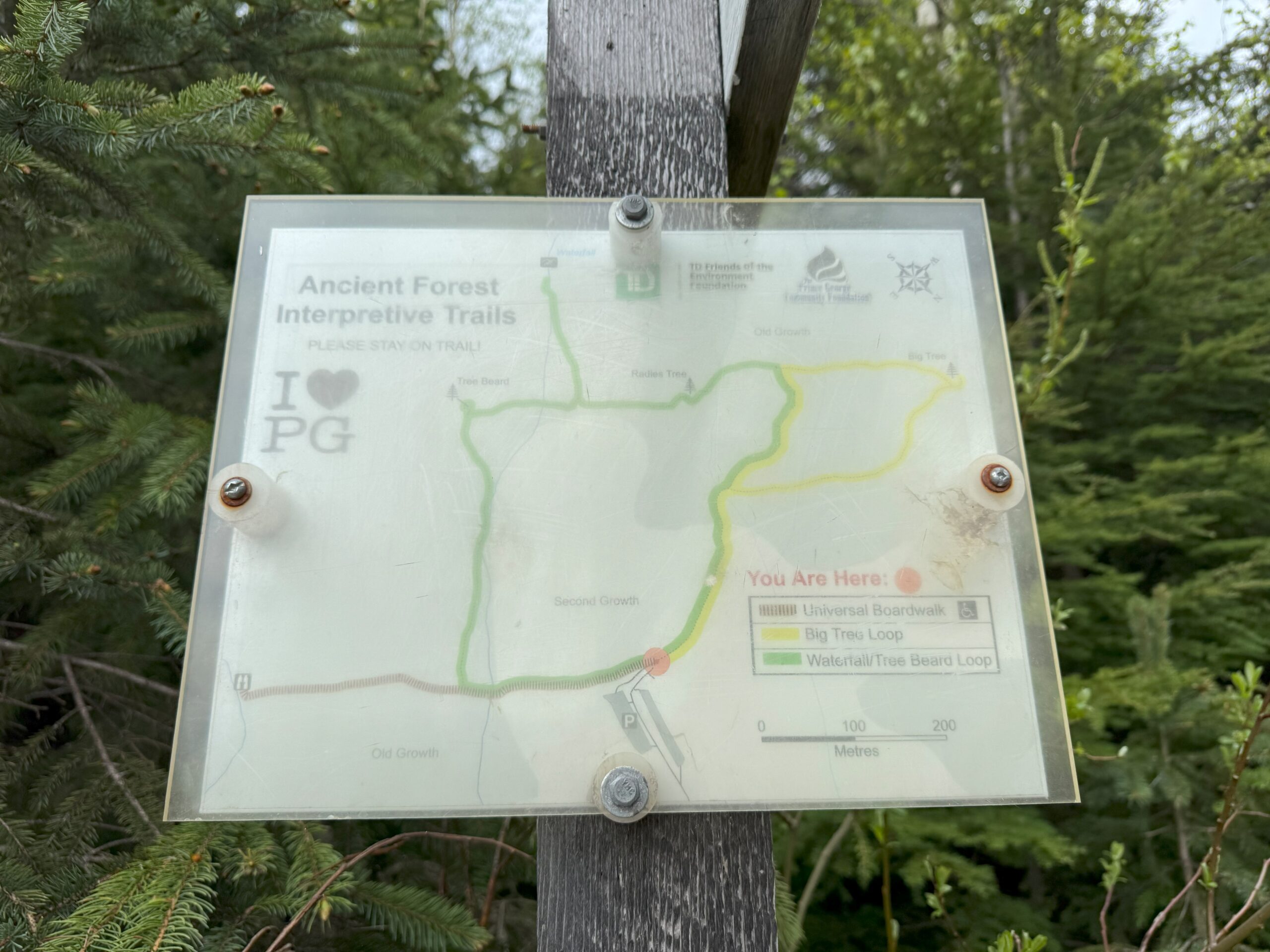 Map of the Ancient Forest Trails displayed on a sign at the forest entrance.