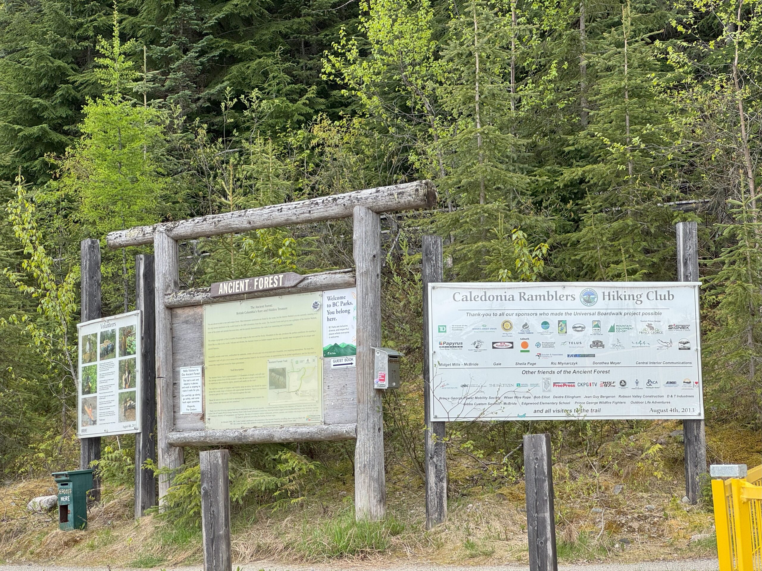 Entrance sign for Ancient Forest at the start of a forest trail.