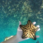 Underwater photo of a hand holding a yellow starfısh above rocky seabed terrain in the Galápagos Islands.