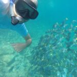 Underwater selfie of a snorkeler in the Galapagos Islands, with a group of grey fish with yellow tails swimming behind.