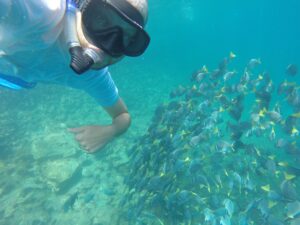 Underwater selfie of a snorkeler in the Galapagos Islands, with a group of grey fish with yellow tails swimming behind.