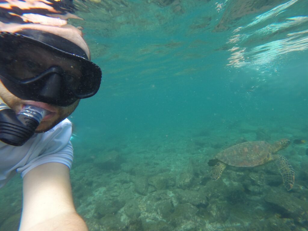 Underwater selfie of a snorkeler with a sea turtle swimming in the background in shallow water, Galapagos Islands.