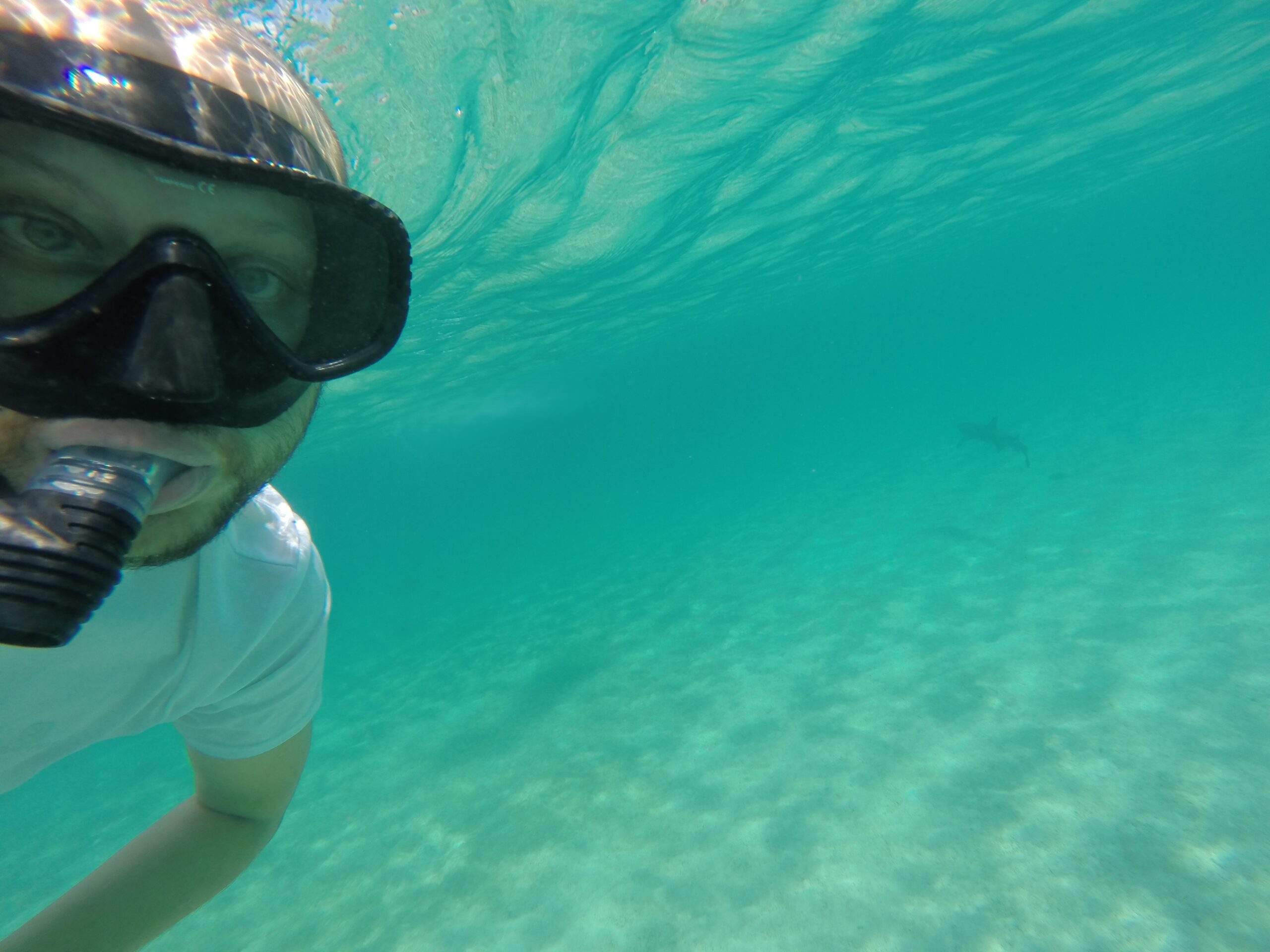 Selfie of a snorkeler in shallow water with a whitetip reef shark swimming in the background, Galapagos Islands.