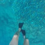 View from a snorkeler in Santa Fe Island, Galapagos, showing his swim fins and a school of fish swimming in the crystal-clear water below.