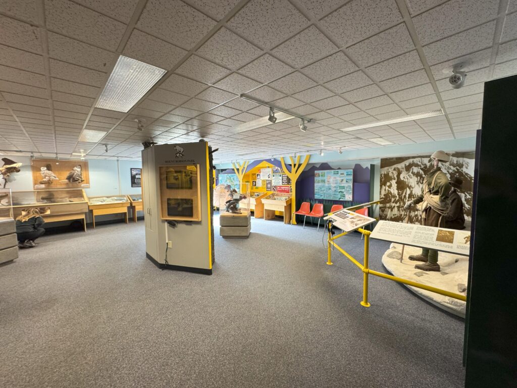 Exhibit hall inside the Mount Robson Welcome Centre museum, featuring wildlife displays, historical information panels, and mountaineer mannequins.