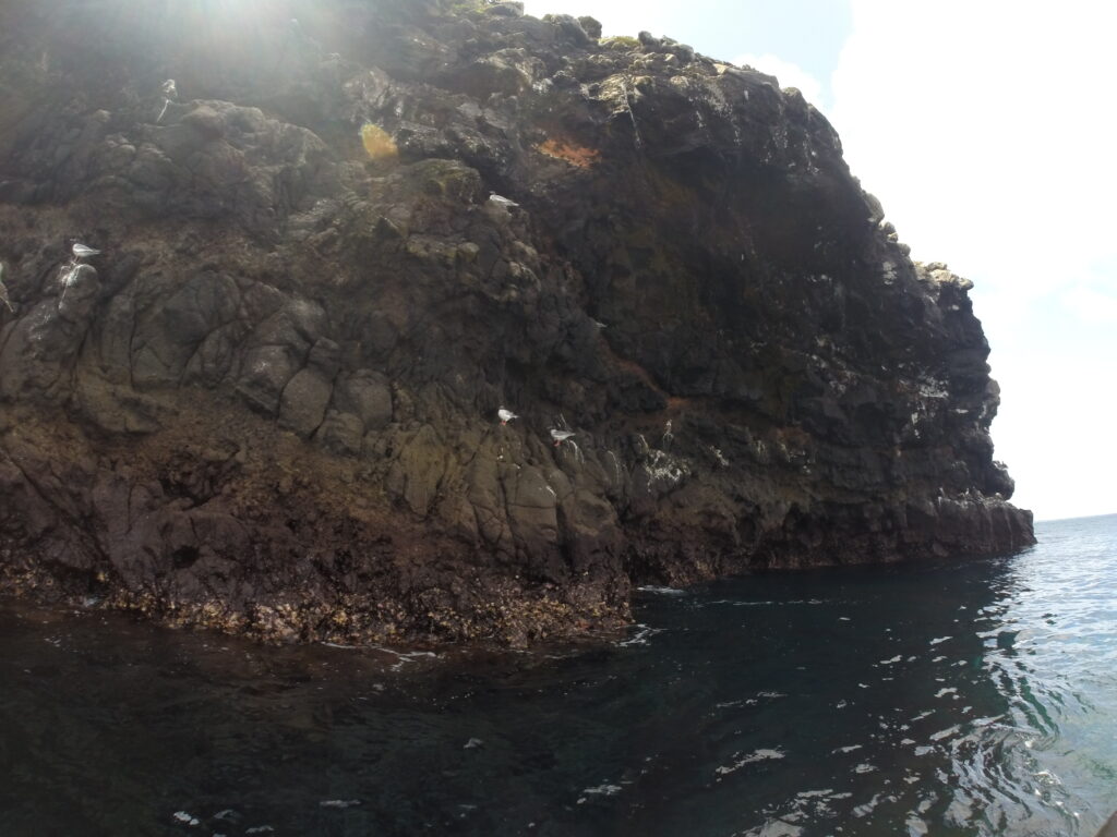 Rocky cliff face on Santa Fe Island Rocky cliff face on Santa Fe Island, Galapagos, with seabirds perched along the rugged edges above the dark blue ocean water.