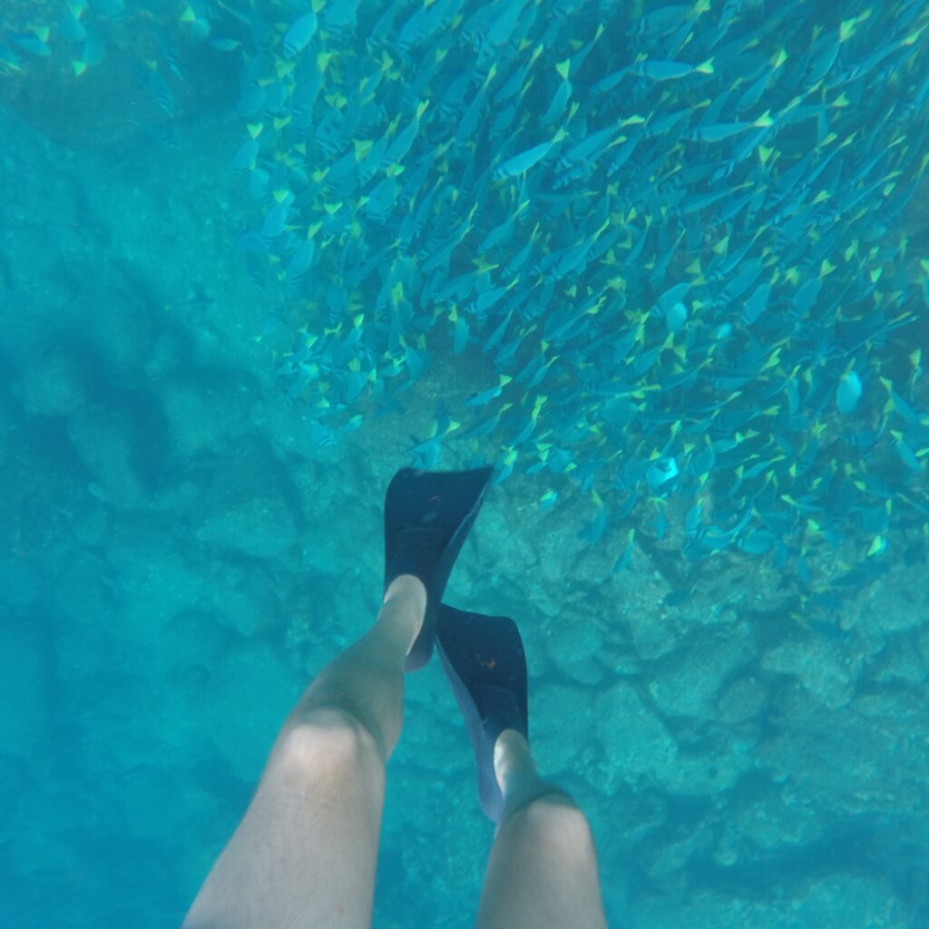 Snorkeling Santa Fe’s turquoise waters
