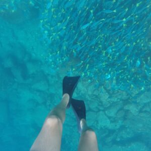 Snorkeling Santa Fe’s turquoise waters