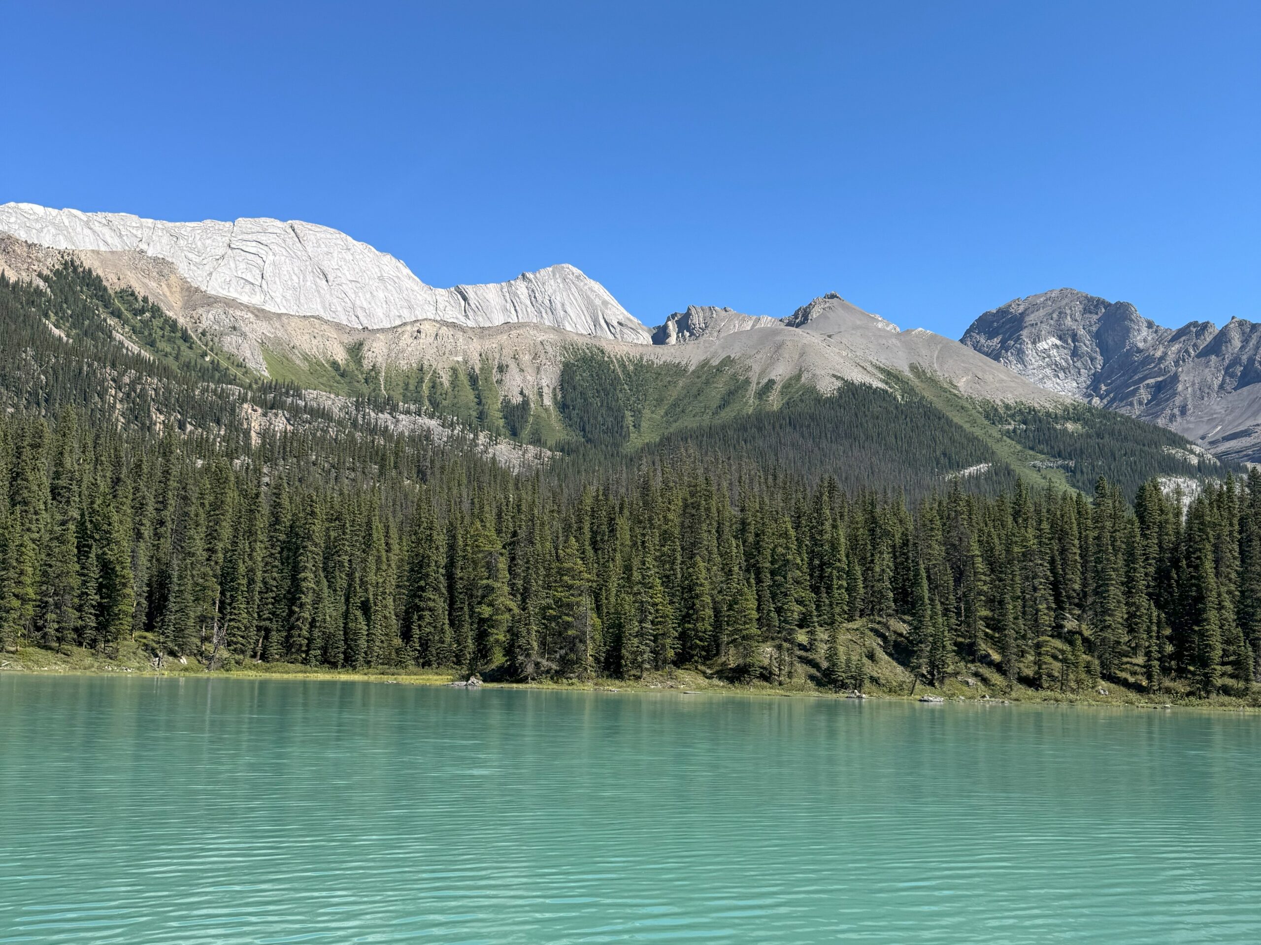Turquoise waters of Maligne Lake with a backdrop of evergreen forest and rocky mountain peaks in Jasper National Park.