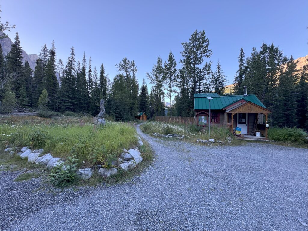 HI Rampart Creek Wilderness Hostel'de, uzun çam ağaçları ve çakıllı bir patika ile çevrili, açık mavi gökyüzünün altında, yeşil metal çatılı küçük bir ahşap kulübe.