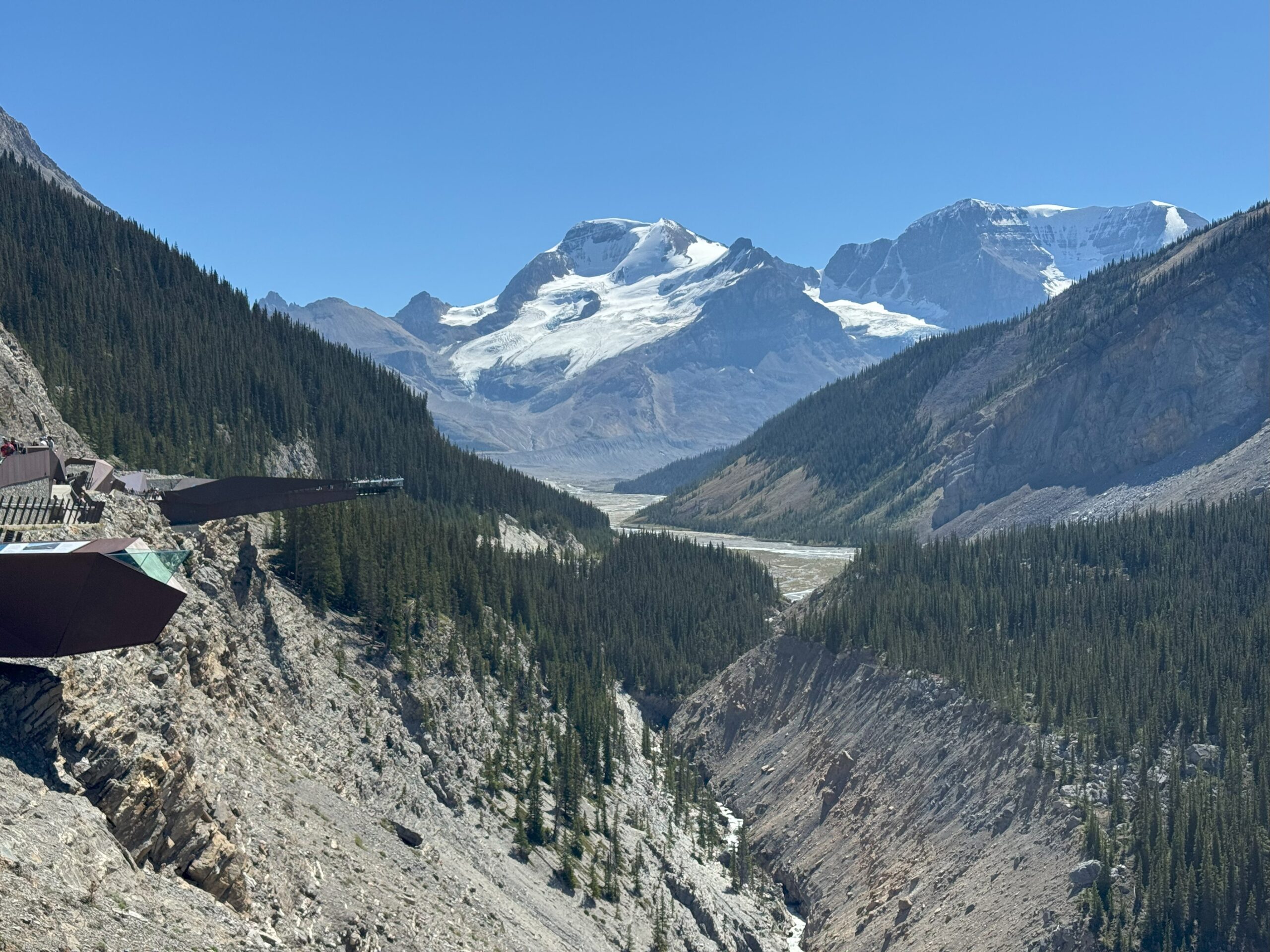 View of the Columbia Icefield Skywalk extending over a deep forested Sunwapta valley, with snow-capped Rocky Mountains and glaciers in the background under a clear blue sky.