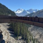 Ziyaretçiler, ormanlık yamaçlar ve karla kaplı dağların arka planda yer aldığı derin bir vadinin üzerine uzanan cam tabanlı Columbia Icefield Skywalk platformunda duruyor.