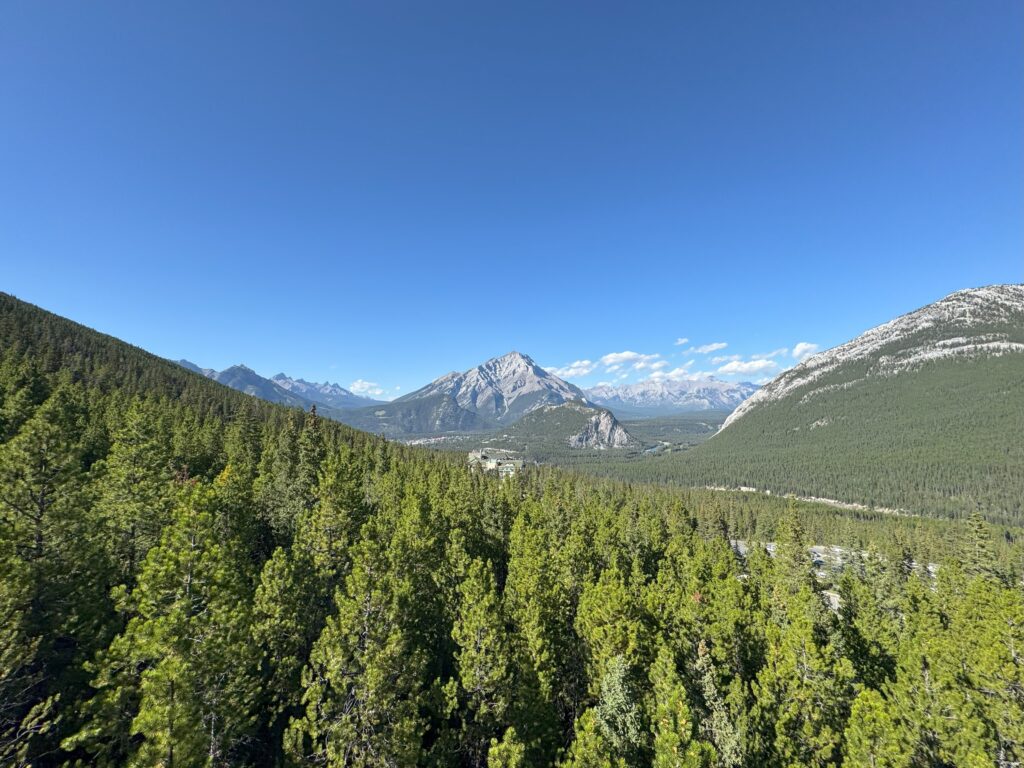 View from the Banff Gondola A panoramic view of forested mountains and a clear blue sky seen from the Banff Gondola.