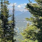 View of Banff’s valley and winding Bow River seen through tall pine trees from the Sulphur Mountain trail.