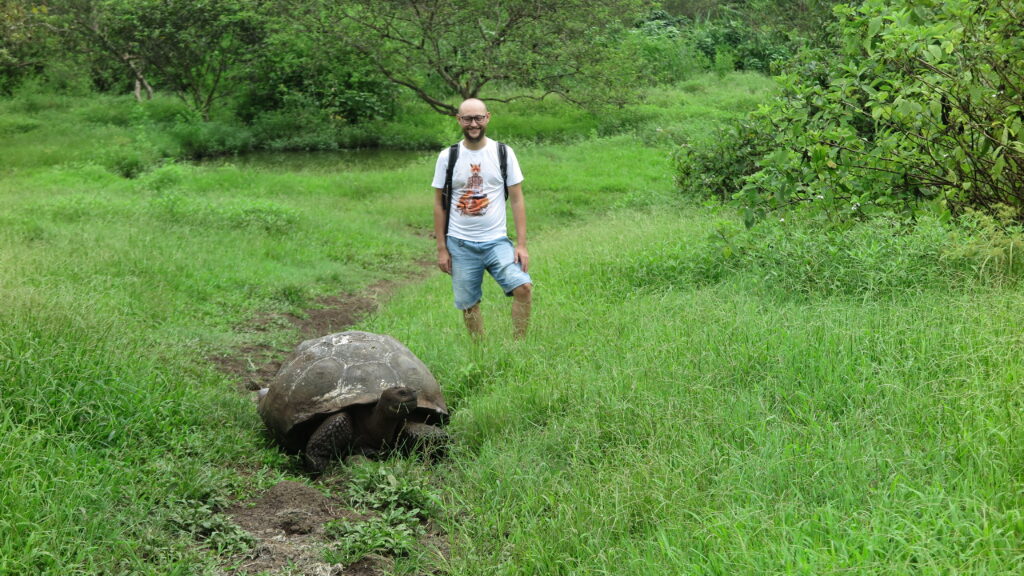 A visitor stands on a lush green trail near a giant tortoise at Rancho Primicias on Santa Cruz Island, Galapagos.