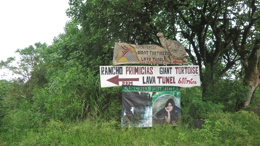 A roadside sign surrounded by lush greenery points toward Rancho Primicias, a sanctuary for giant tortoises and a lava tunnel on Santa Cruz Island in the Galapagos.