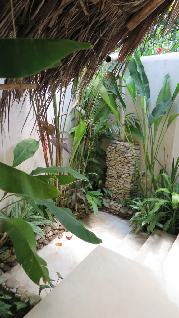 Casa Mori Hotel’de açık tavanlı, bambu duşlu, taş duvarlı ve büyük yeşil bitkilerle dekore edilmiş banyo.