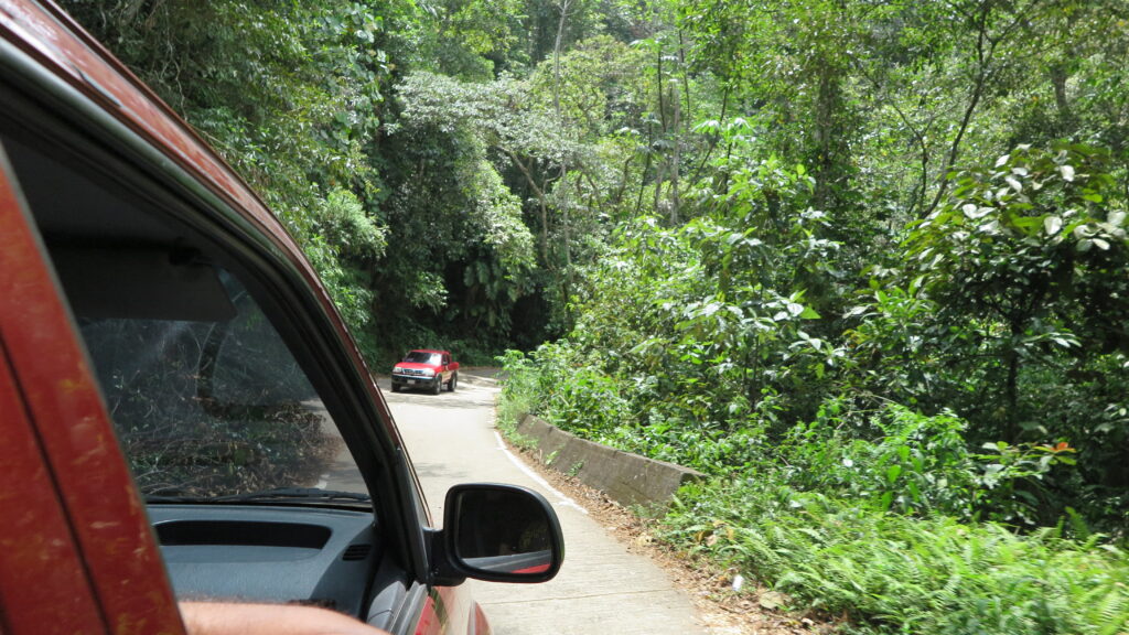 Maracay’dan Choroni'ye (Venezuela) giden yol üzerinde, tropik ormanlarla çevrili virajlı bir dağ yolu; araç içinden çekilmiş bir görüntü.
