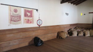 Venezuela, Chuao'daki bir kakao deposunun iç görünümü; duvarda asılı "Cacao Venezuela Chuao" yazılı çuvallar, manuel bir terazi ve ahşap zemin üzerindeki dolu çuvallar.