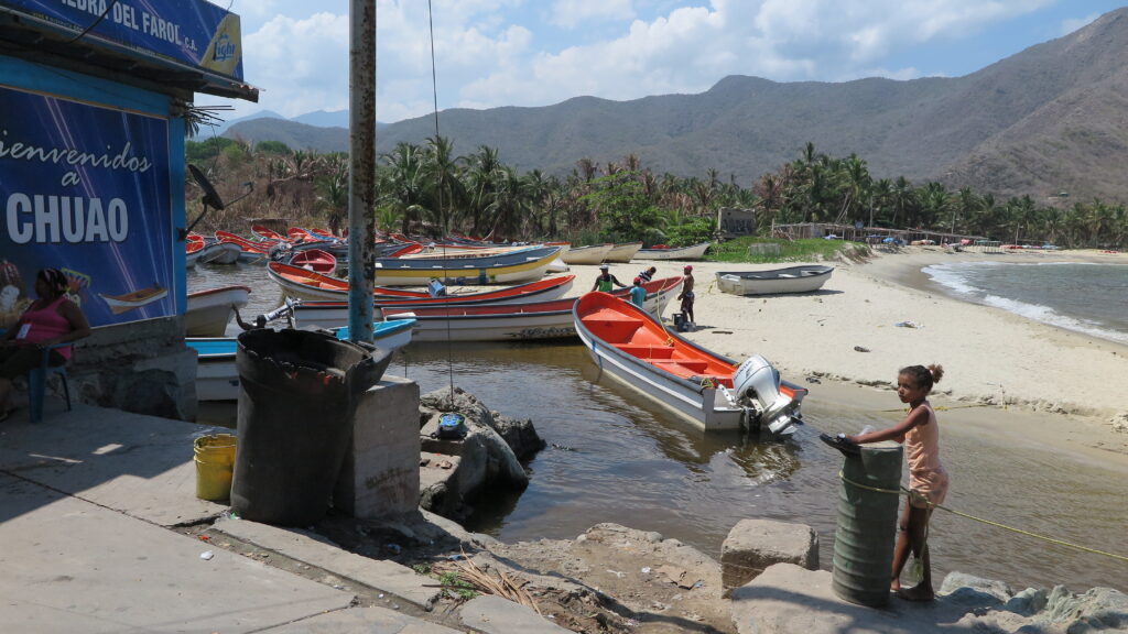 Venezuela Chuao limanı, renkli balıkçı tekneleri, palmiye ağaçları ve arka planda dağ manzarası.
