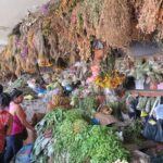 A vibrant herbal medicine stall at Plaza Central market in Bucaramanga, featuring bundles of dried and fresh medicinal plants hanging from the ceiling.