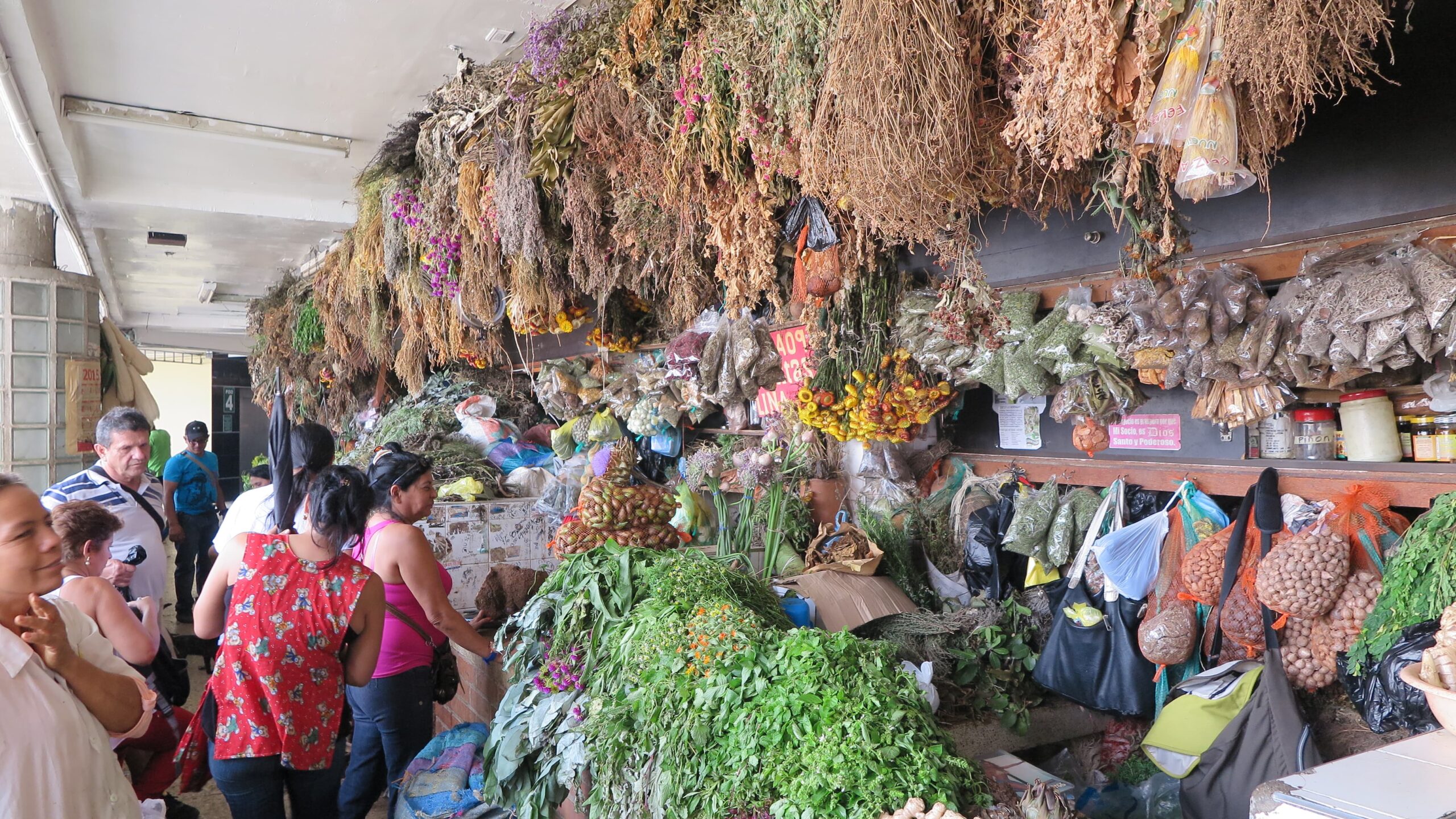 A vibrant herbal medicine stall at Plaza Central market in Bucaramanga, featuring bundles of dried and fresh medicinal plants hanging from the ceiling.