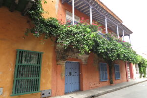 Close-up of an orange colonial house in Cartagena with a purple balcony and thick green vines.