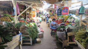 A vibrant and narrow aisle inside Mercado Amazonas in Ibarra, Ecuador, lined with overflowing stalls of fresh tropical fruits, vegetables, and tubers. A local vendor in a blue apron is seen sitting and reading a newspaper amidst the produce.