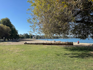 A person sitting on Kitsilano Beach near a large driftwood log, overlooking the ocean and distant city skyline.