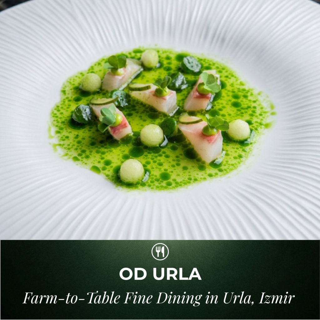 OD Urla Izmir Türkiye Featured Photo