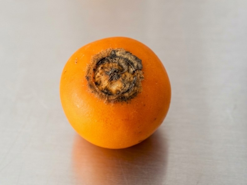 A whole ripe lulo (naranjilla) fruit with bright orange skin resting on a metallic surface.