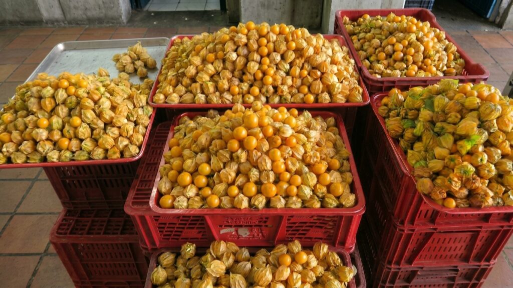 Colombian physalis (golden berries) in red crates at a local market.